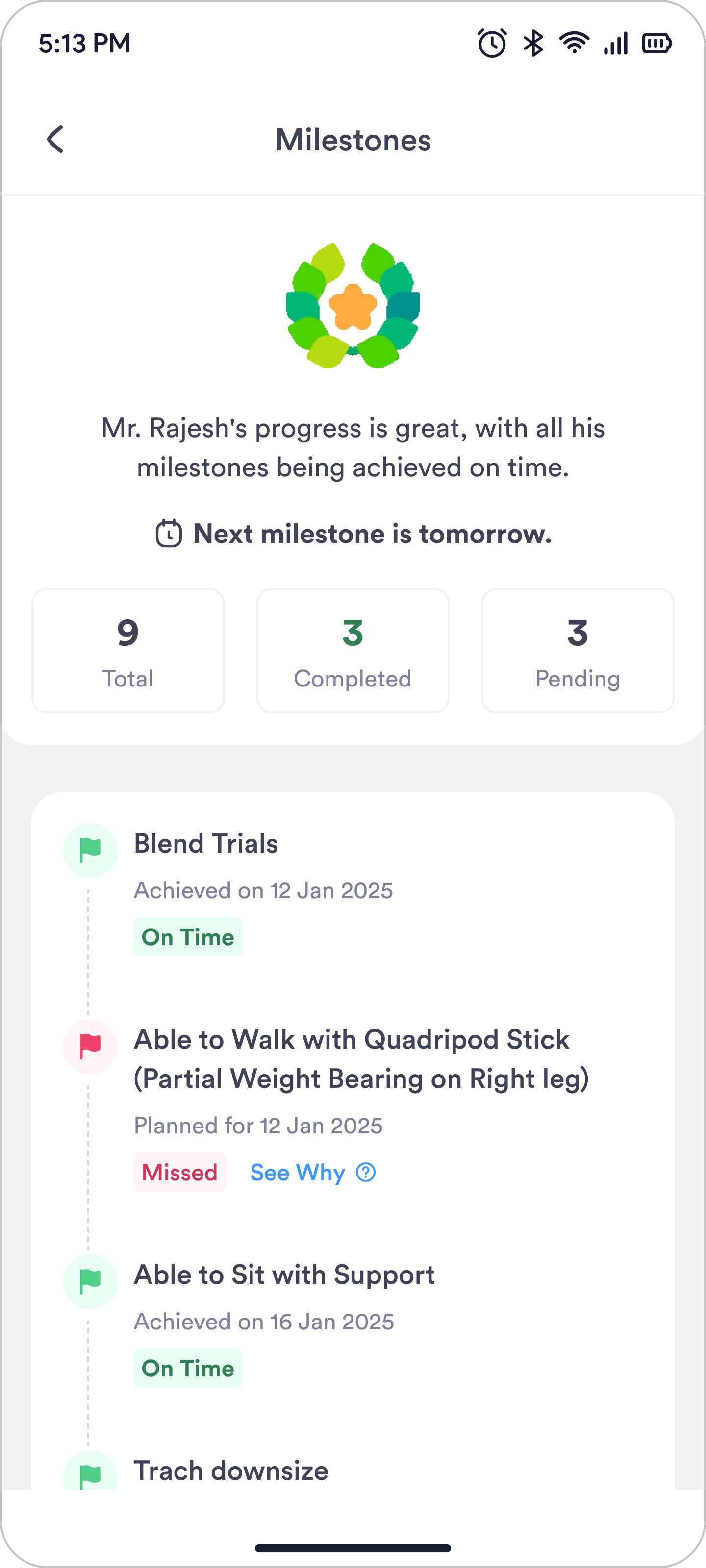 The second Milestones screen